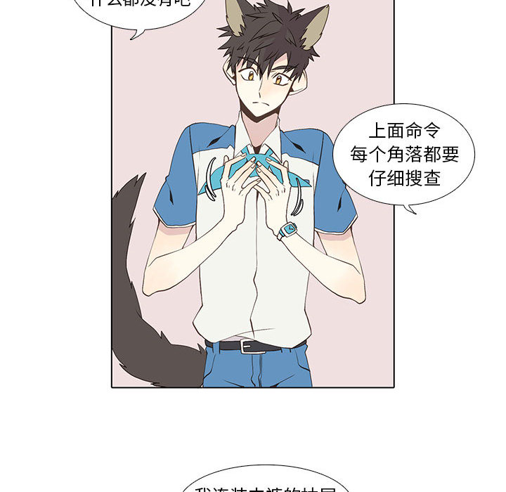 野性之城[抖漫]韩漫全集-野性之城-第 16 章无删减无遮挡章节图片 