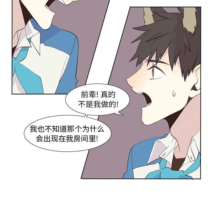 野性之城[抖漫]韩漫全集-野性之城-第 16 章无删减无遮挡章节图片 