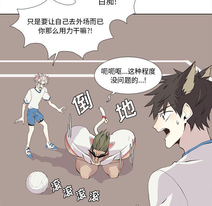 野性之城[抖漫]韩漫全集-野性之城-第 24 章无删减无遮挡章节图片 
