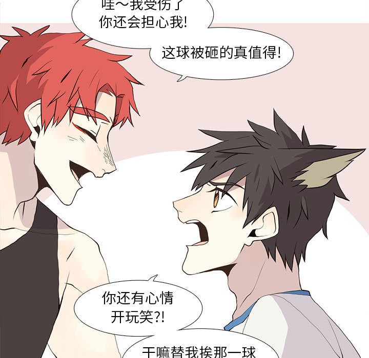 野性之城[抖漫]韩漫全集-野性之城-第 25 章无删减无遮挡章节图片 