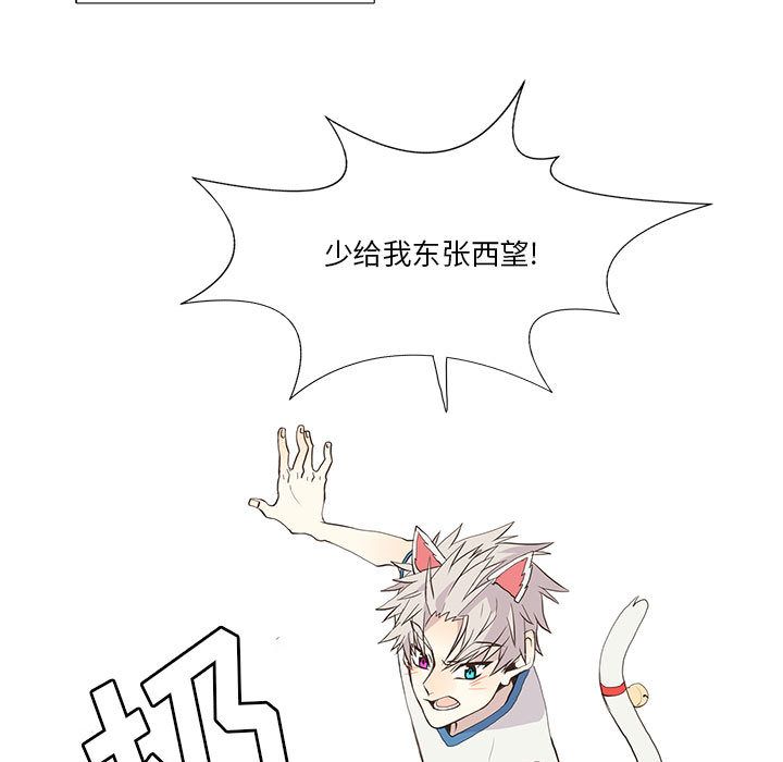 野性之城[抖漫]韩漫全集-野性之城-第 25 章无删减无遮挡章节图片 
