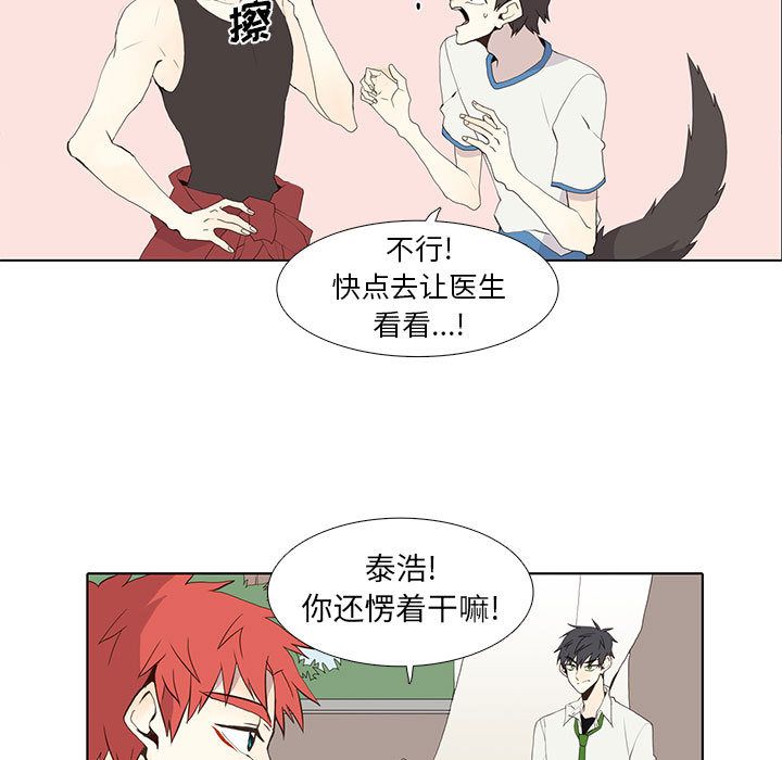 野性之城[抖漫]韩漫全集-野性之城-第 25 章无删减无遮挡章节图片 