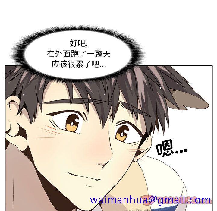 野性之城[抖漫]韩漫全集-野性之城-第 38 章无删减无遮挡章节图片 