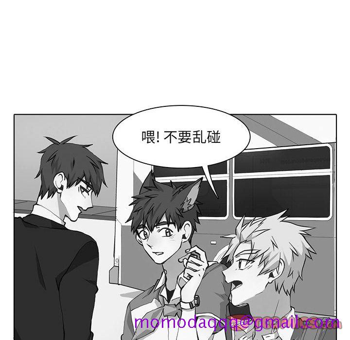野性之城[抖漫]韩漫全集-野性之城-第 40 章无删减无遮挡章节图片 