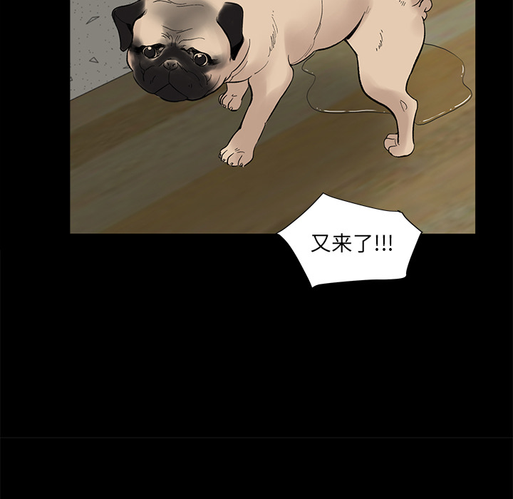 韩道修[抖漫]韩漫全集-韩道修-第 5 章无删减无遮挡章节图片 