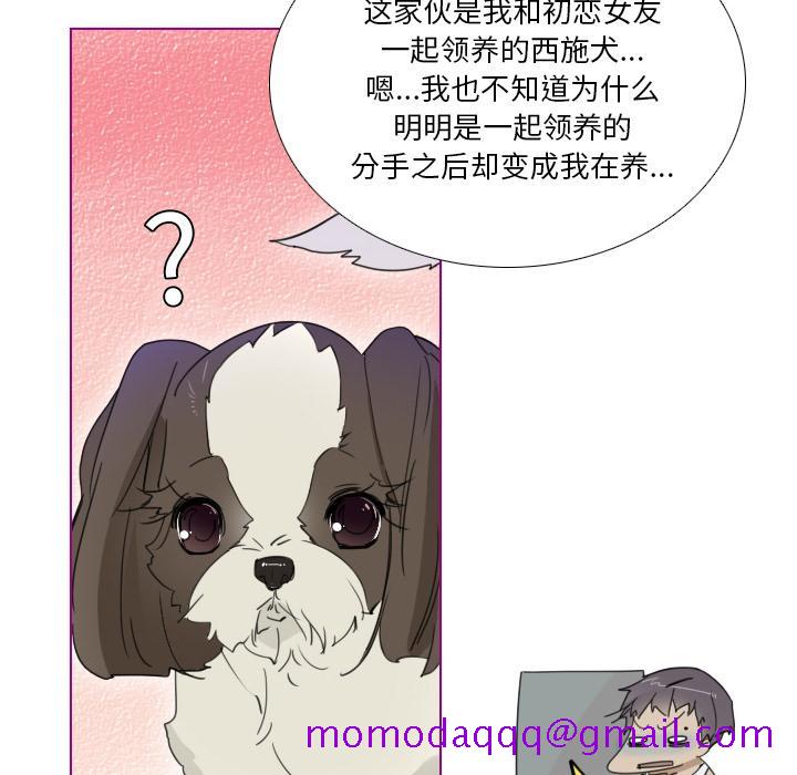 我的猫狗女友[抖漫]韩漫全集-我的猫狗女友-第 1 话无删减无遮挡章节图片 