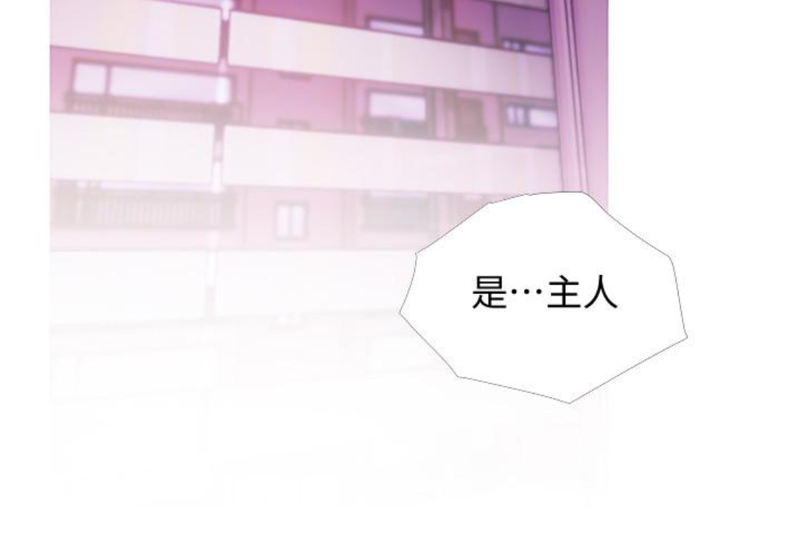 阿姨的秘密情事[抖漫]韩漫全集-阿姨的秘密情事-第56話-性致高昂的主人无删减无遮挡章节图片 