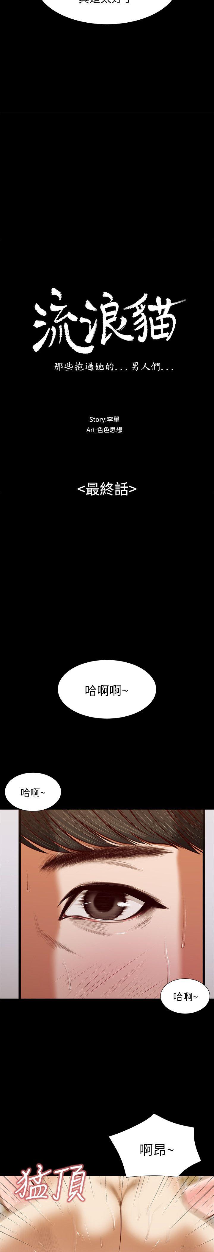 流浪猫[h漫]韩漫全集-流浪猫-最終話-你是天真還是傻无删减无遮挡章节图片 