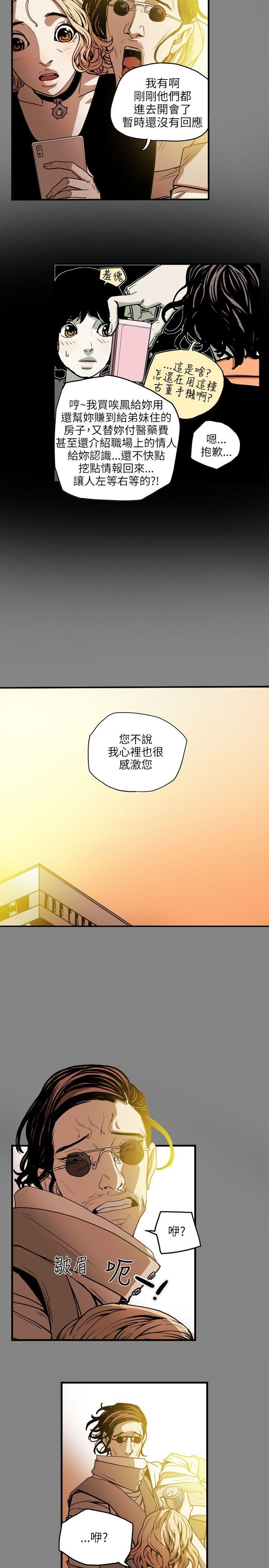 Honey trap 甜蜜陷阱[h漫]韩漫全集-Honey trap 甜蜜陷阱-第19話无删减无遮挡章节图片 