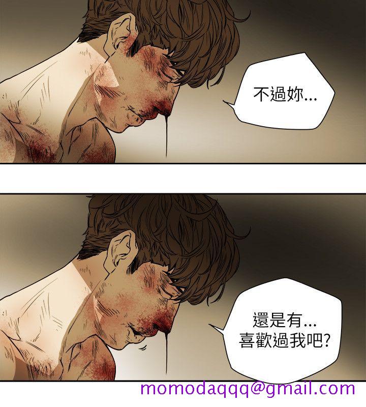 Honey trap 甜蜜陷阱[h漫]韩漫全集-Honey trap 甜蜜陷阱-第82話无删减无遮挡章节图片 