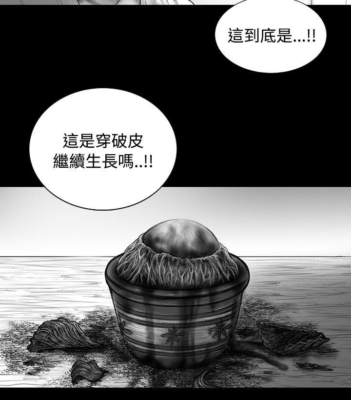 SEED The Beginning[抖漫]韩漫全集-SEED The Beginning-第15話无删减无遮挡章节图片 