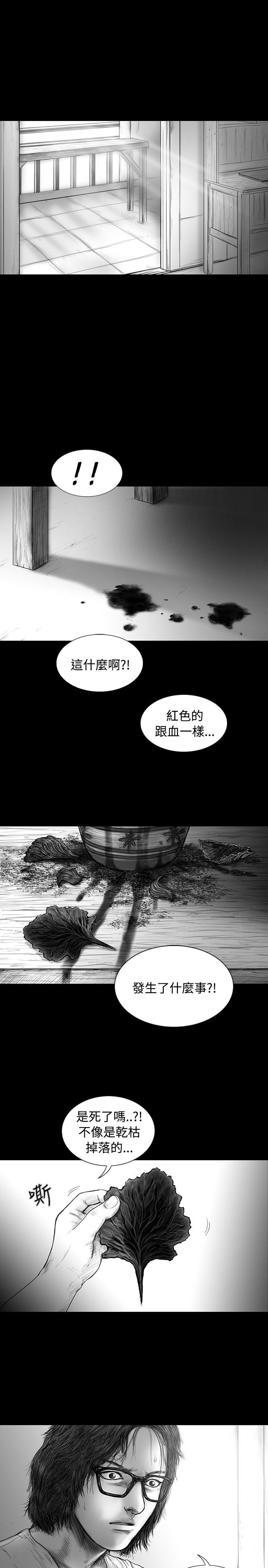 SEED The Beginning[抖漫]韩漫全集-SEED The Beginning-第15話无删减无遮挡章节图片 