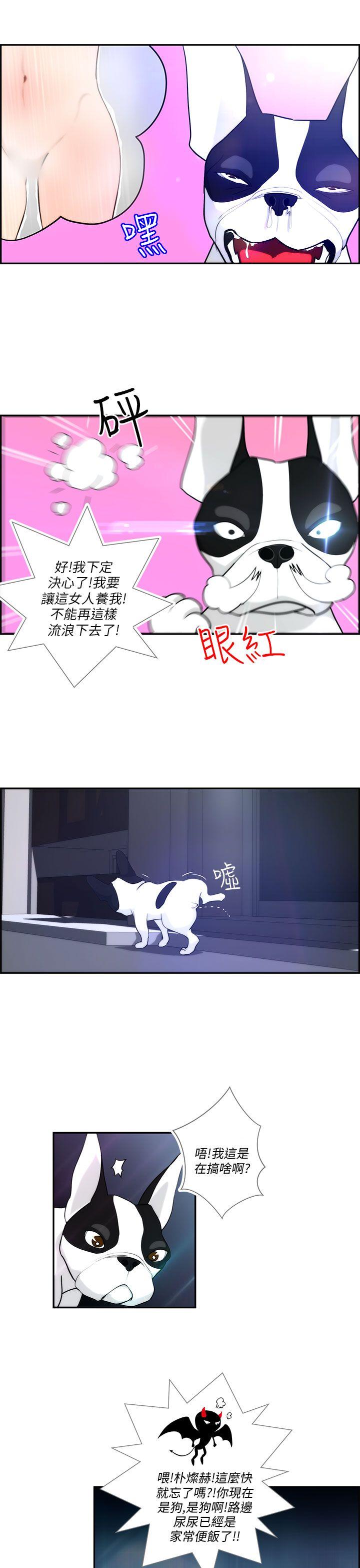 变成狗的男人[抖漫]韩漫全集-變成狗的男人-第4話无删减无遮挡章节图片 