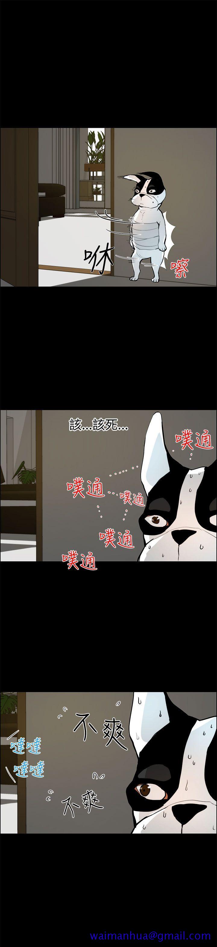 变成狗的男人[抖漫]韩漫全集-變成狗的男人-第19話无删减无遮挡章节图片 