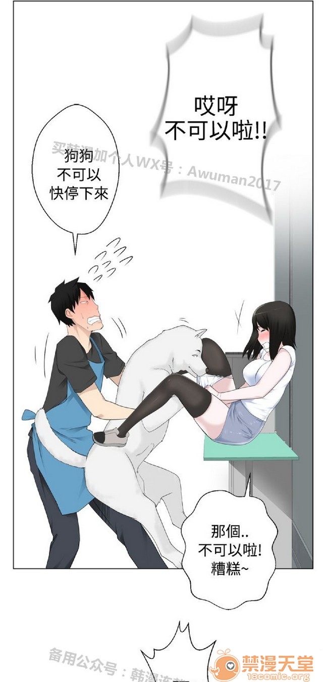 法兰克赵 为爱而生|完结[h漫]韩漫全集-法兰克赵 为爱而生|完结-第1話 法蘭克趙 為愛而生|完結 无删减无遮挡章节图片 