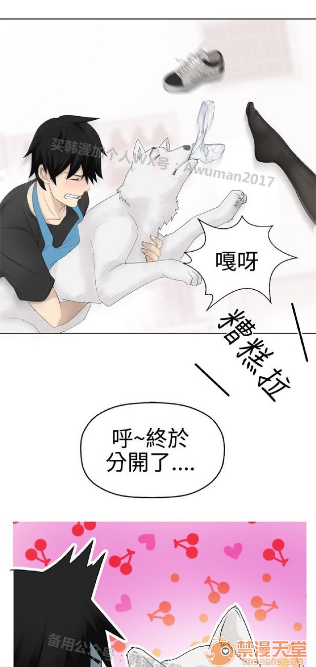 法兰克赵 为爱而生|完结[h漫]韩漫全集-法兰克赵 为爱而生|完结-第1話 法蘭克趙 為愛而生|完結 无删减无遮挡章节图片 