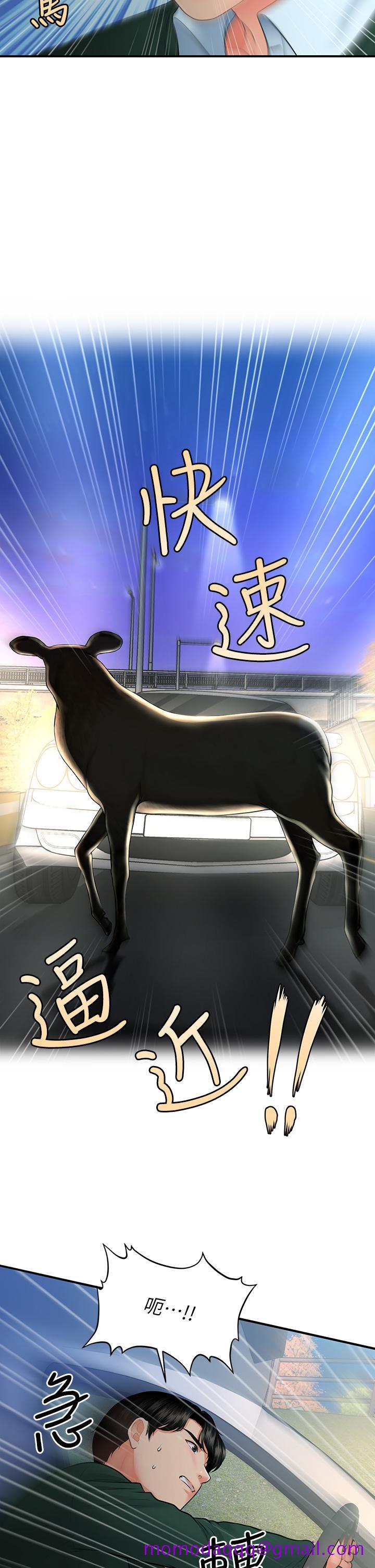 医美奇鸡[h漫]韩漫全集-医美奇鸡-第82話-這種男人就給你吧无删减无遮挡章节图片 