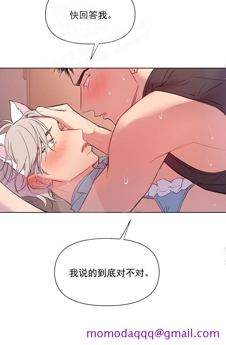 奇妙玩具来袭（完结）[抖漫]韩漫全集-奇妙玩具来袭（完结）-18话无删减无遮挡章节图片 