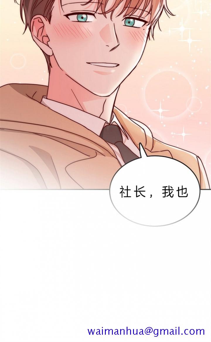 总裁秘书不好当/安全伙伴[h漫]韩漫全集-总裁秘书不好当/安全伙伴-60话无删减无遮挡章节图片 