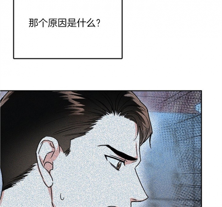 总裁秘书不好当/安全伙伴[h漫]韩漫全集-总裁秘书不好当/安全伙伴-71话无删减无遮挡章节图片 