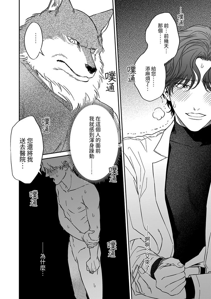 狼大人专情的霸道之爱[h漫]韩漫全集-狼大人专情的霸道之爱-第3話无删减无遮挡章节图片 