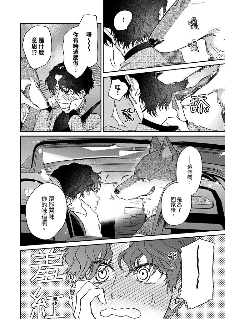 狼大人专情的霸道之爱[h漫]韩漫全集-狼大人专情的霸道之爱-第8話无删减无遮挡章节图片 