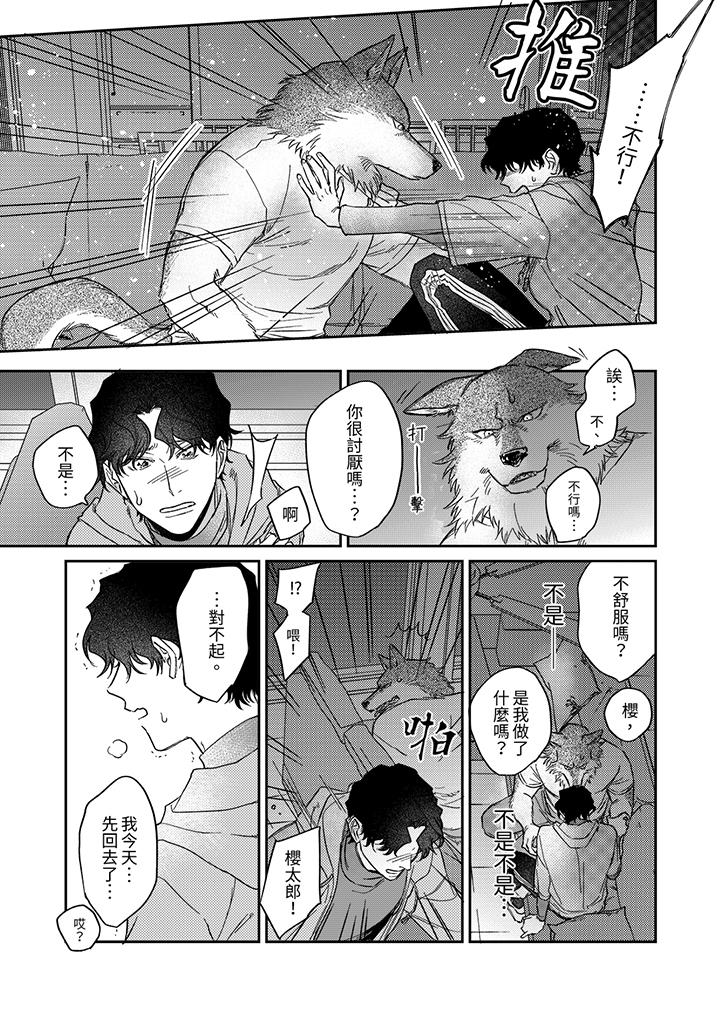 狼大人专情的霸道之爱[h漫]韩漫全集-狼大人专情的霸道之爱-第10話无删减无遮挡章节图片 