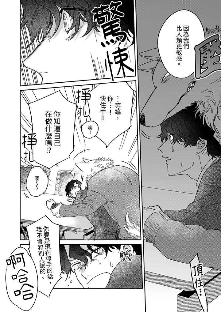 狼大人专情的霸道之爱[h漫]韩漫全集-狼大人专情的霸道之爱-第11話无删减无遮挡章节图片 