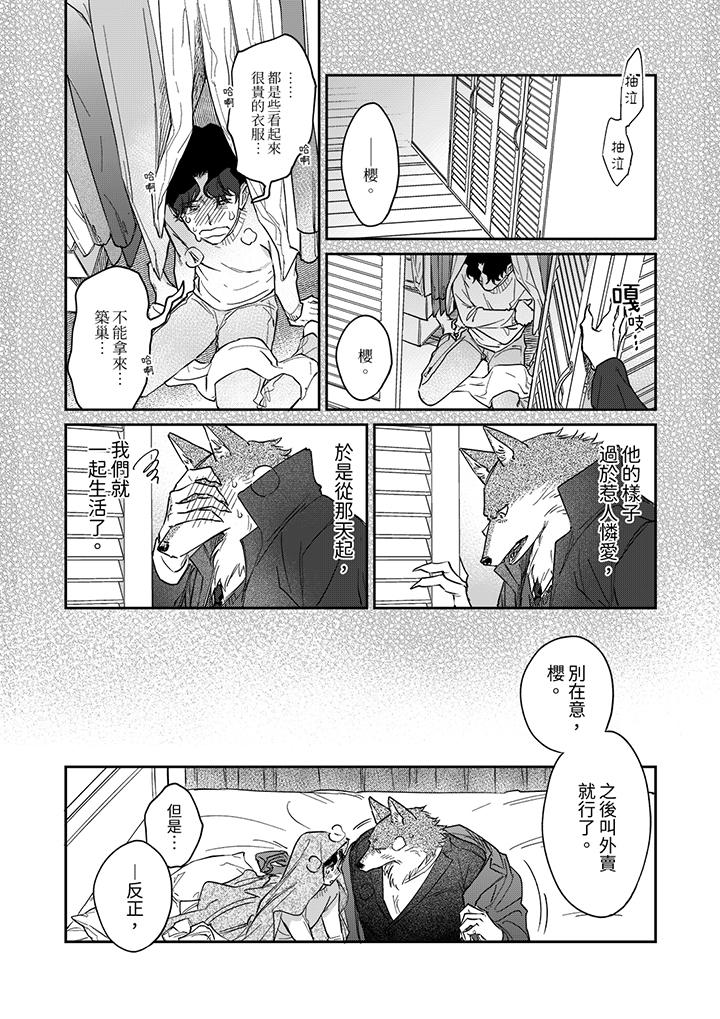 狼大人专情的霸道之爱[h漫]韩漫全集-狼大人专情的霸道之爱-第13話无删减无遮挡章节图片 