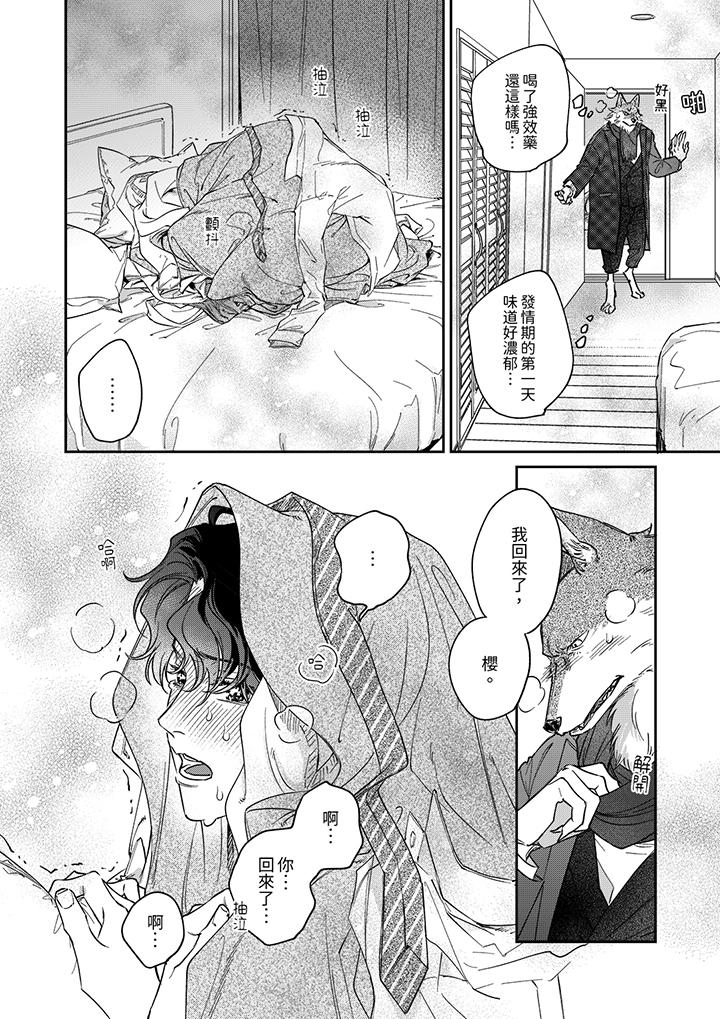 狼大人专情的霸道之爱[h漫]韩漫全集-狼大人专情的霸道之爱-第13話无删减无遮挡章节图片 