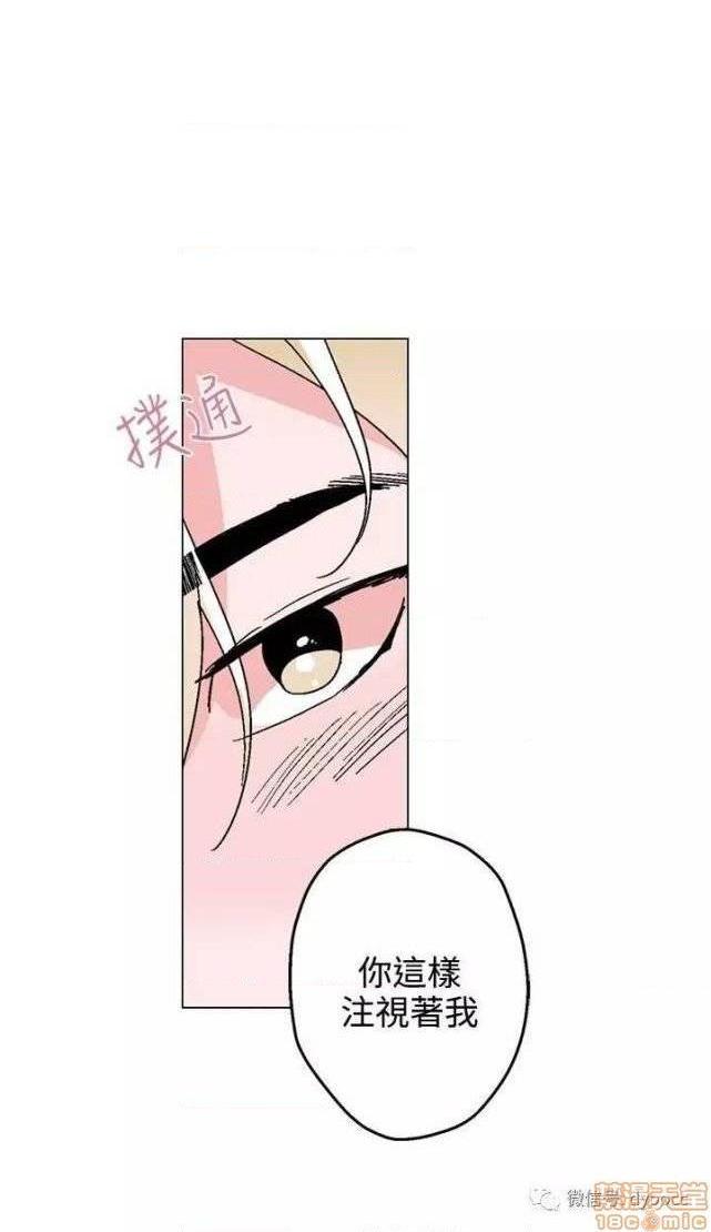 灰姑娘的哥哥们 Brothers of Cinderella [零星汉化组x禁漫天堂][h漫]韩漫全集-灰姑娘的哥哥们 Brothers of Cinderella [零星汉化组x禁漫天堂]-第11話 26-30 无删减无遮挡章节图片 