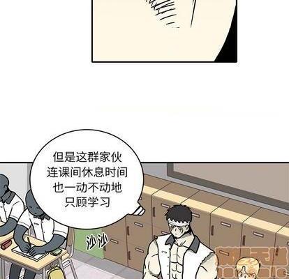 野妄之拳 | 第1章[h漫]韩漫全集-野妄之拳 | 第1章-第2話 野妄之拳 | 第2章 无删减无遮挡章节图片 