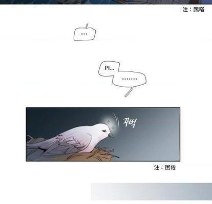 奥兹 | 第1章[h漫]韩漫全集-奥兹 | 第1章-第1話 奥兹 | 第1章 无删减无遮挡章节图片 