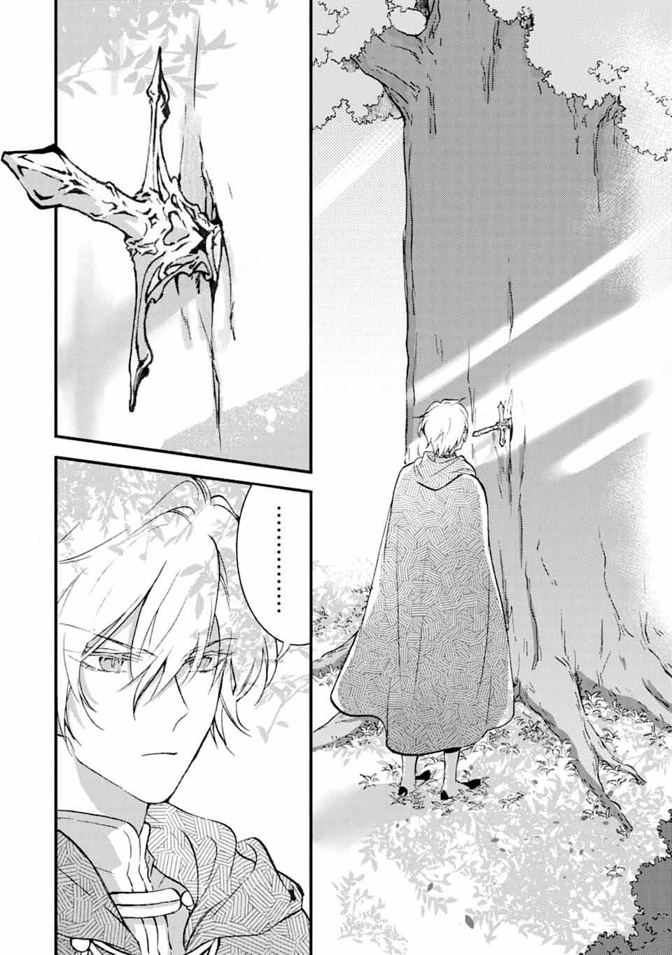 身为侍女…却一不小心拔出了圣剑！韩漫全集-第05话无删减无遮挡章节图片 