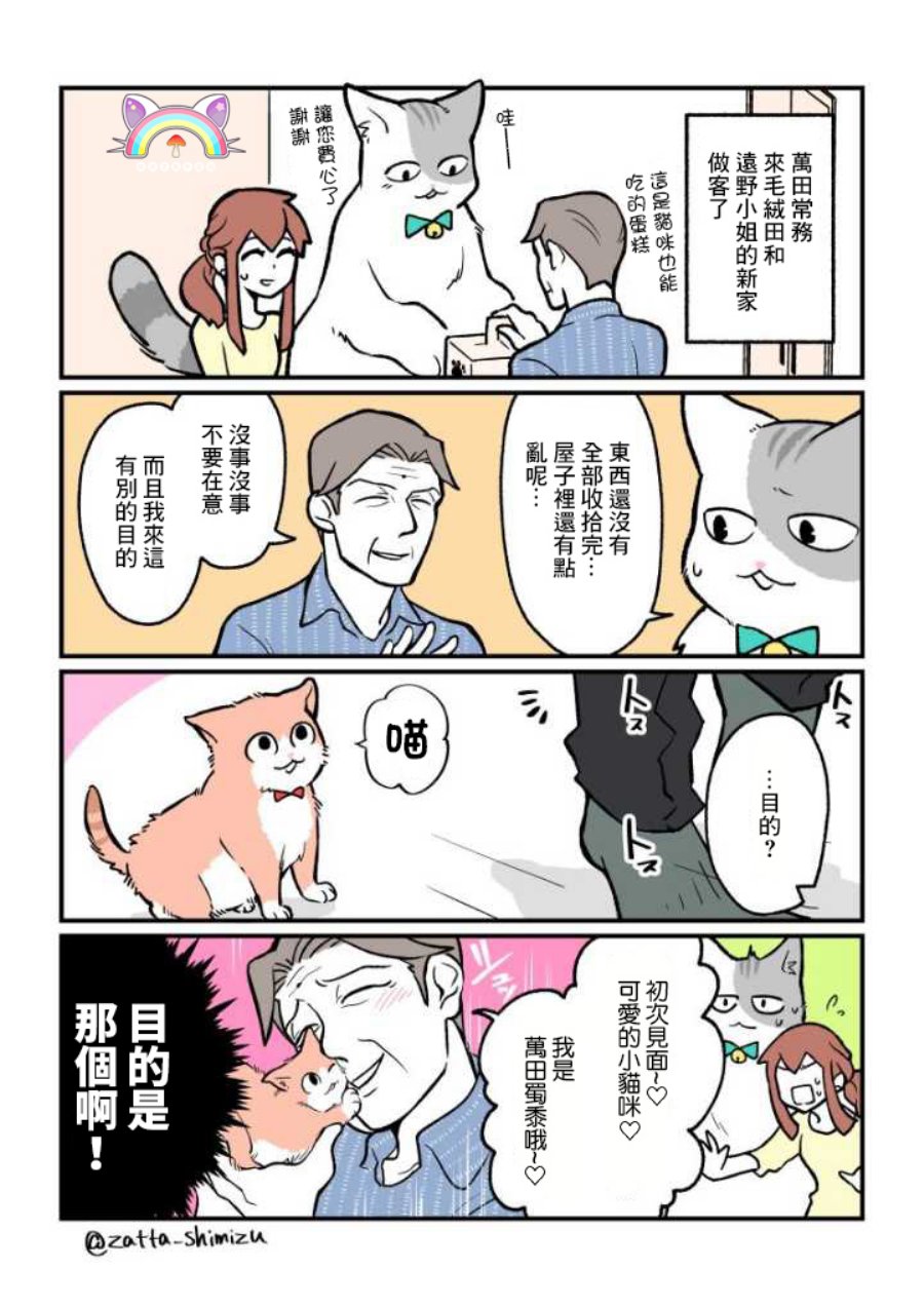 黑心企业的职员变成猫之后人生有了转变的故事韩漫全集-番外02无删减无遮挡章节图片 