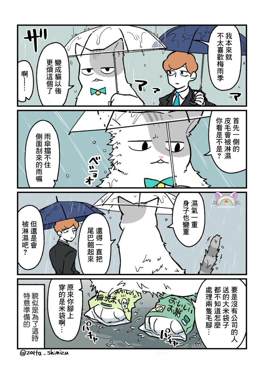 黑心企业的职员变成猫之后人生有了转变的故事韩漫全集-番外09无删减无遮挡章节图片 