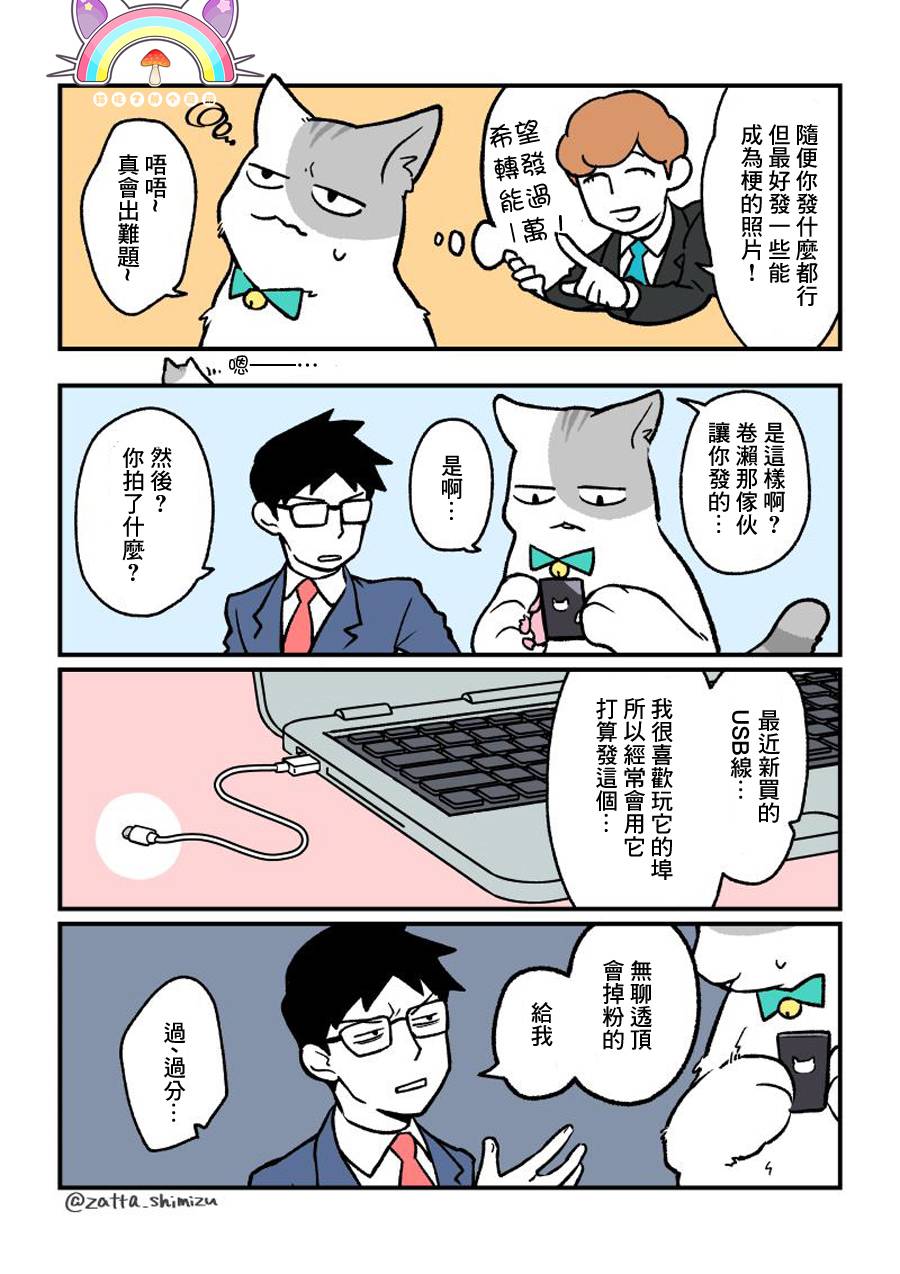 黑心企业的职员变成猫之后人生有了转变的故事韩漫全集-番外11无删减无遮挡章节图片 