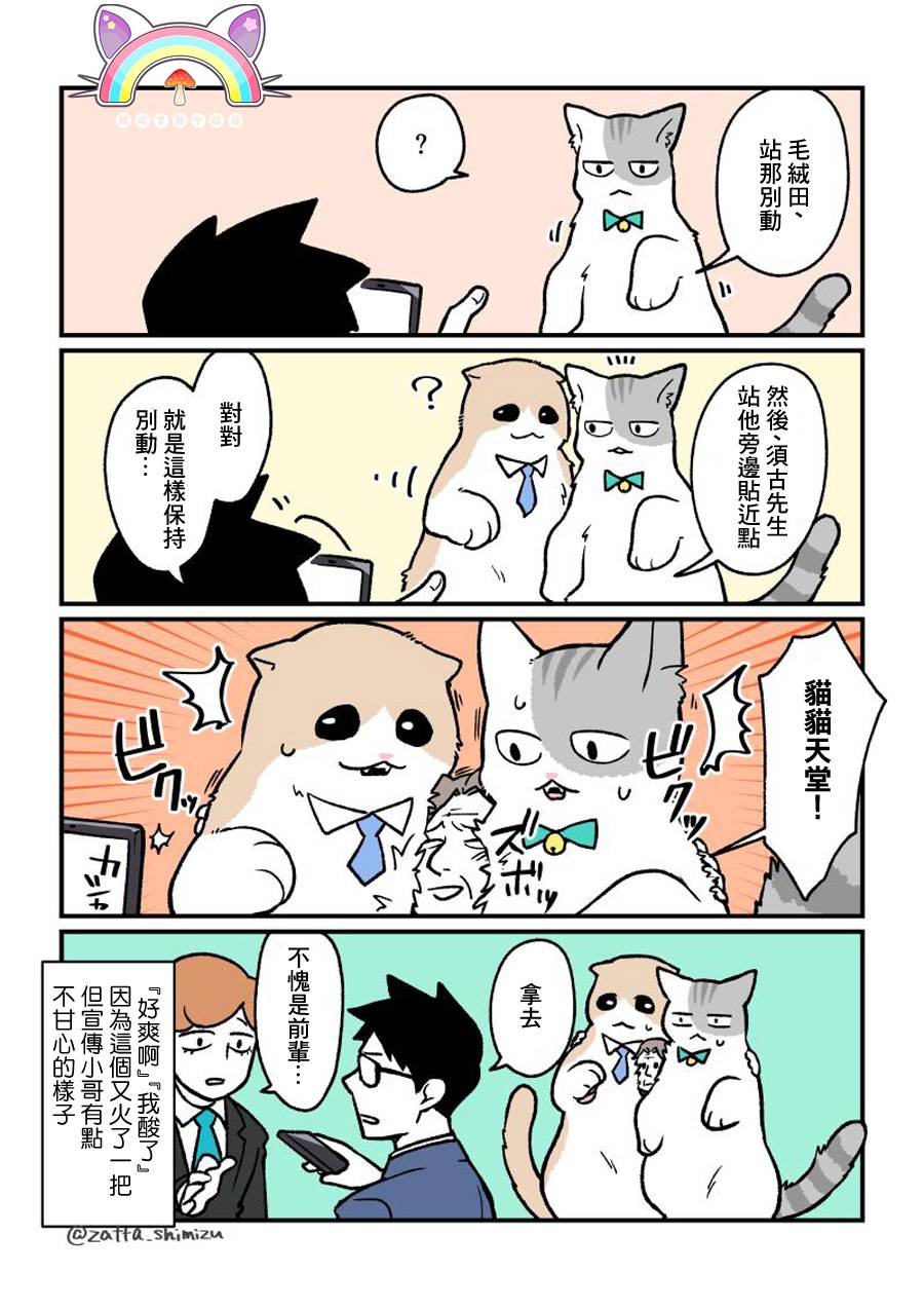 黑心企业的职员变成猫之后人生有了转变的故事韩漫全集-番外11无删减无遮挡章节图片 