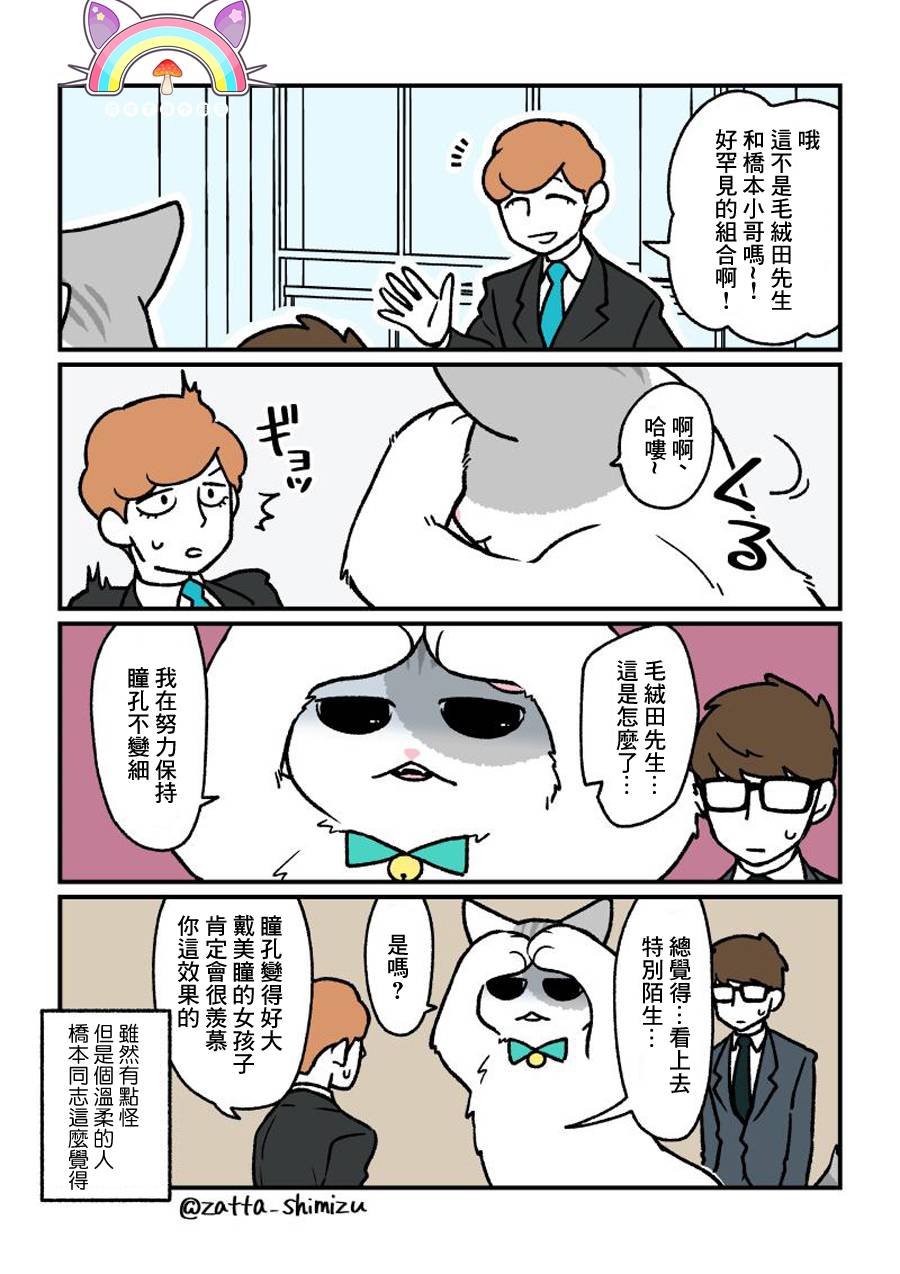 黑心企业的职员变成猫之后人生有了转变的故事韩漫全集-番外12无删减无遮挡章节图片 