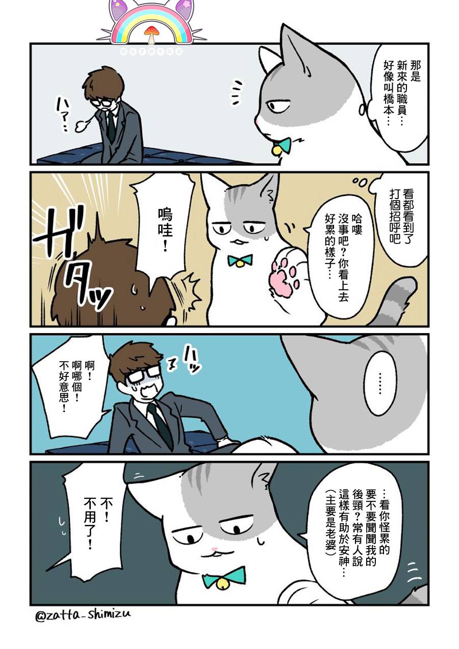 黑心企业的职员变成猫之后人生有了转变的故事韩漫全集-番外12无删减无遮挡章节图片 