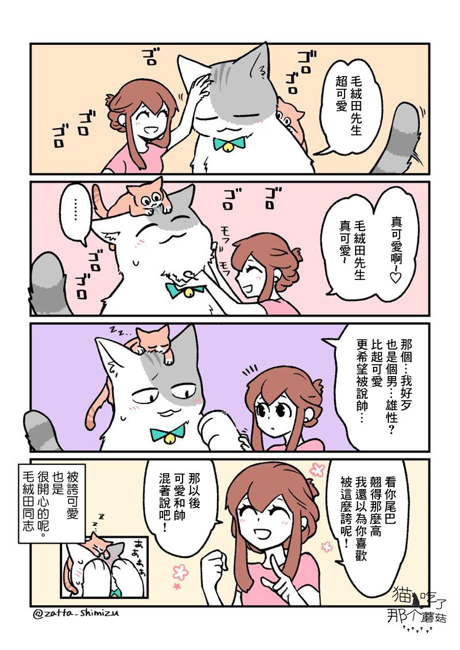黑心企业的职员变成猫之后人生有了转变的故事韩漫全集-番外13无删减无遮挡章节图片 