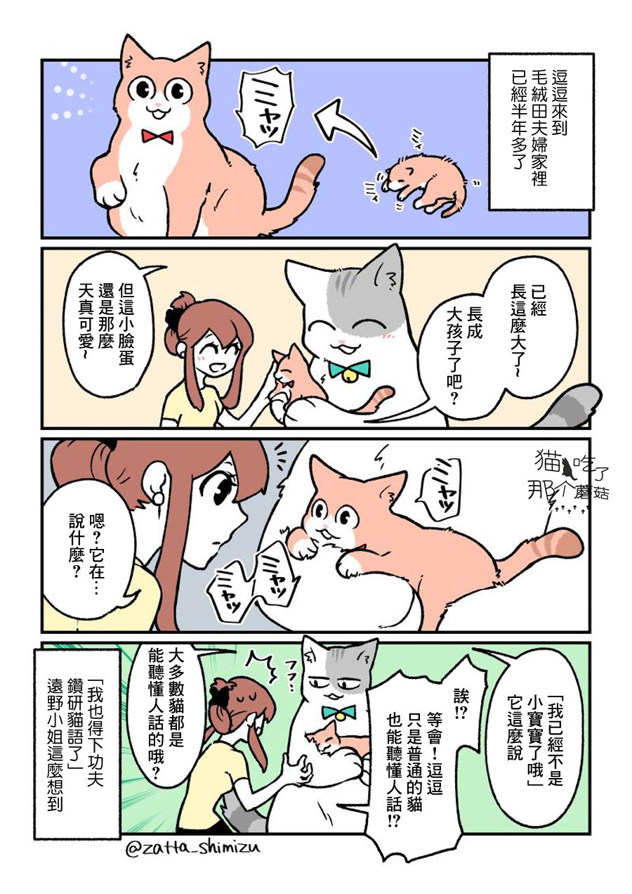 黑心企业的职员变成猫之后人生有了转变的故事韩漫全集-番外13无删减无遮挡章节图片 