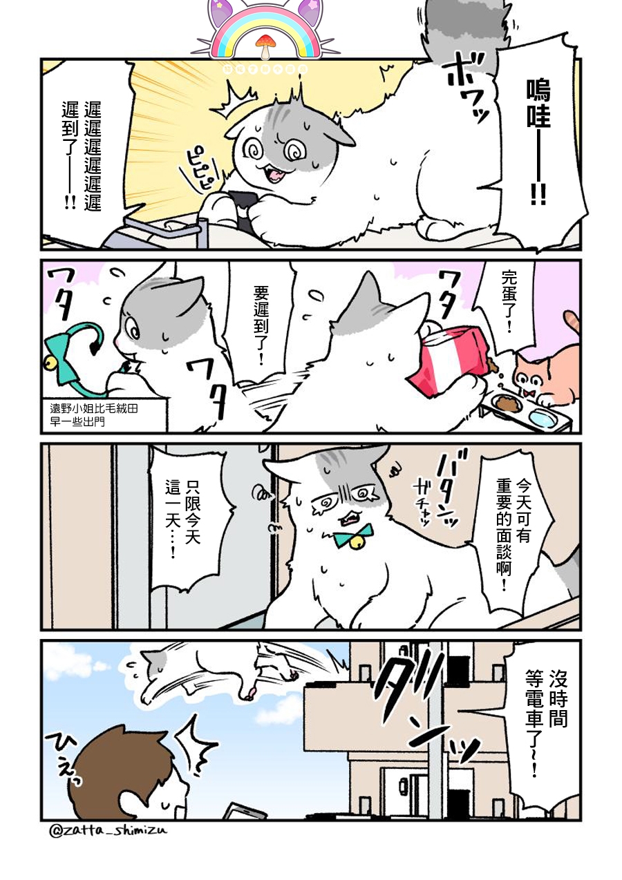 黑心企业的职员变成猫之后人生有了转变的故事韩漫全集-番外14无删减无遮挡章节图片 