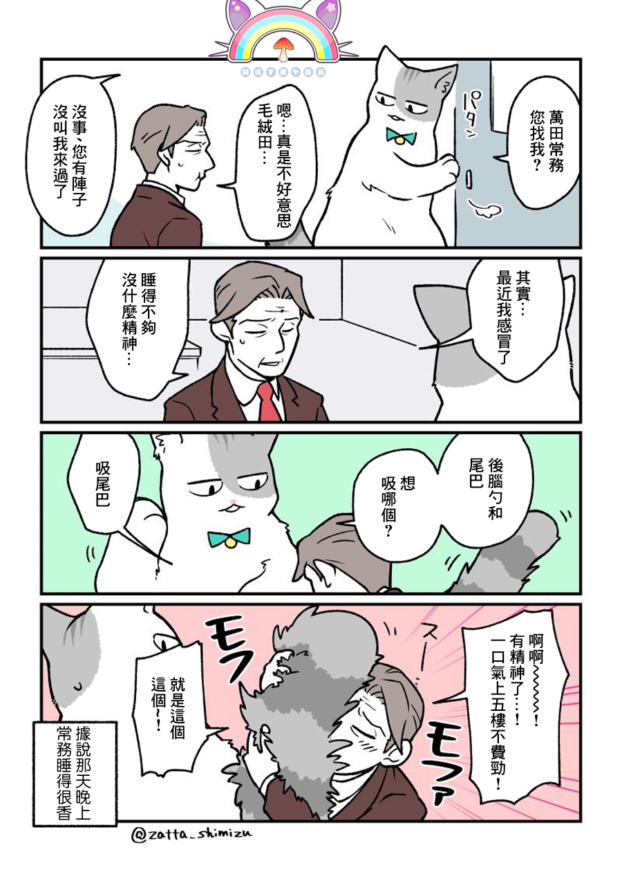 黑心企业的职员变成猫之后人生有了转变的故事韩漫全集-番外14无删减无遮挡章节图片 