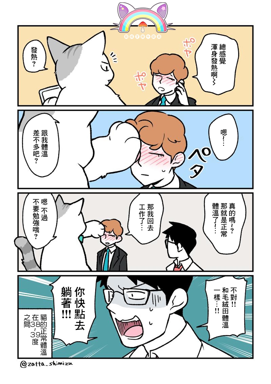 黑心企业的职员变成猫之后人生有了转变的故事韩漫全集-番外14无删减无遮挡章节图片 