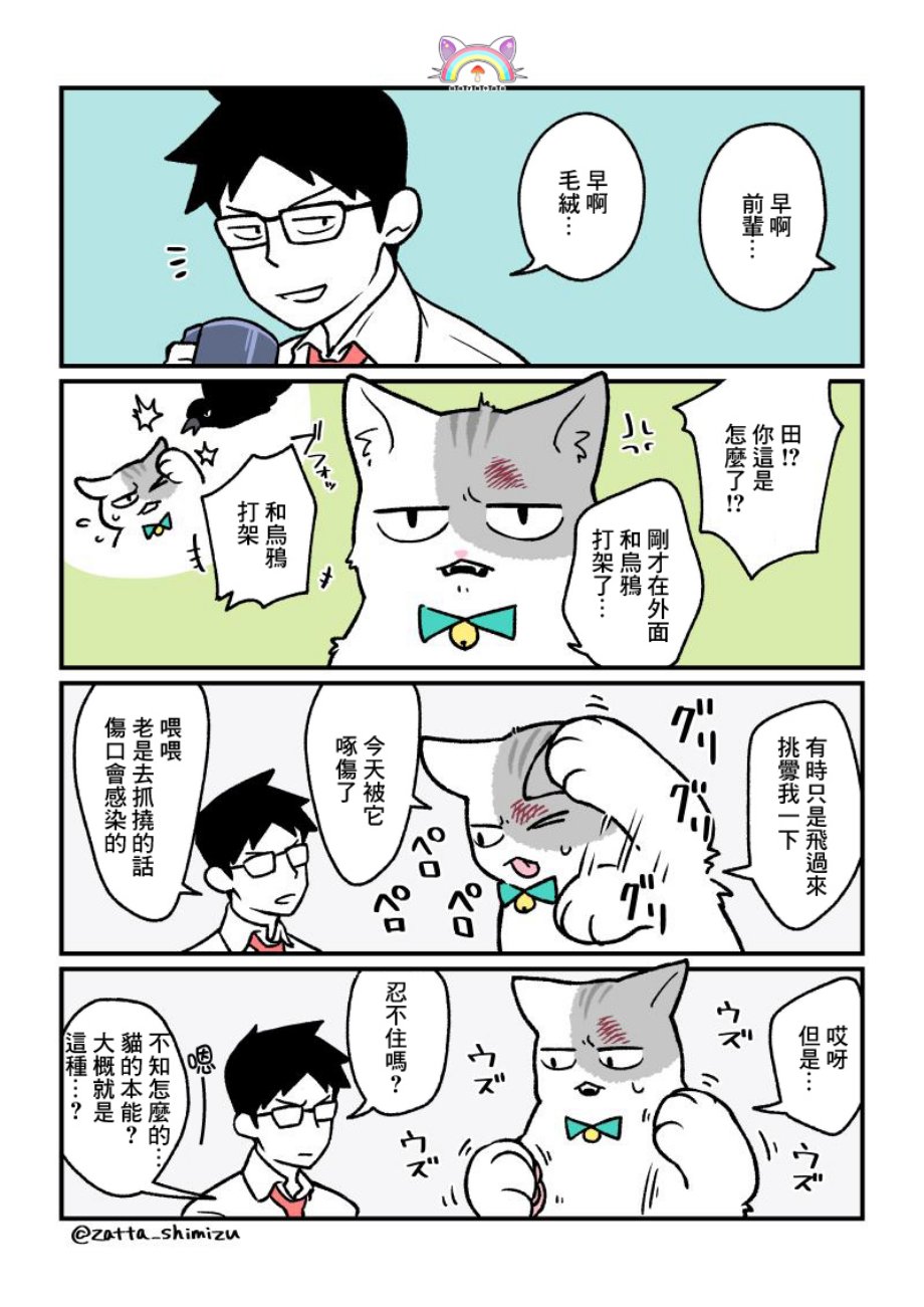 黑心企业的职员变成猫之后人生有了转变的故事韩漫全集-番外15无删减无遮挡章节图片 