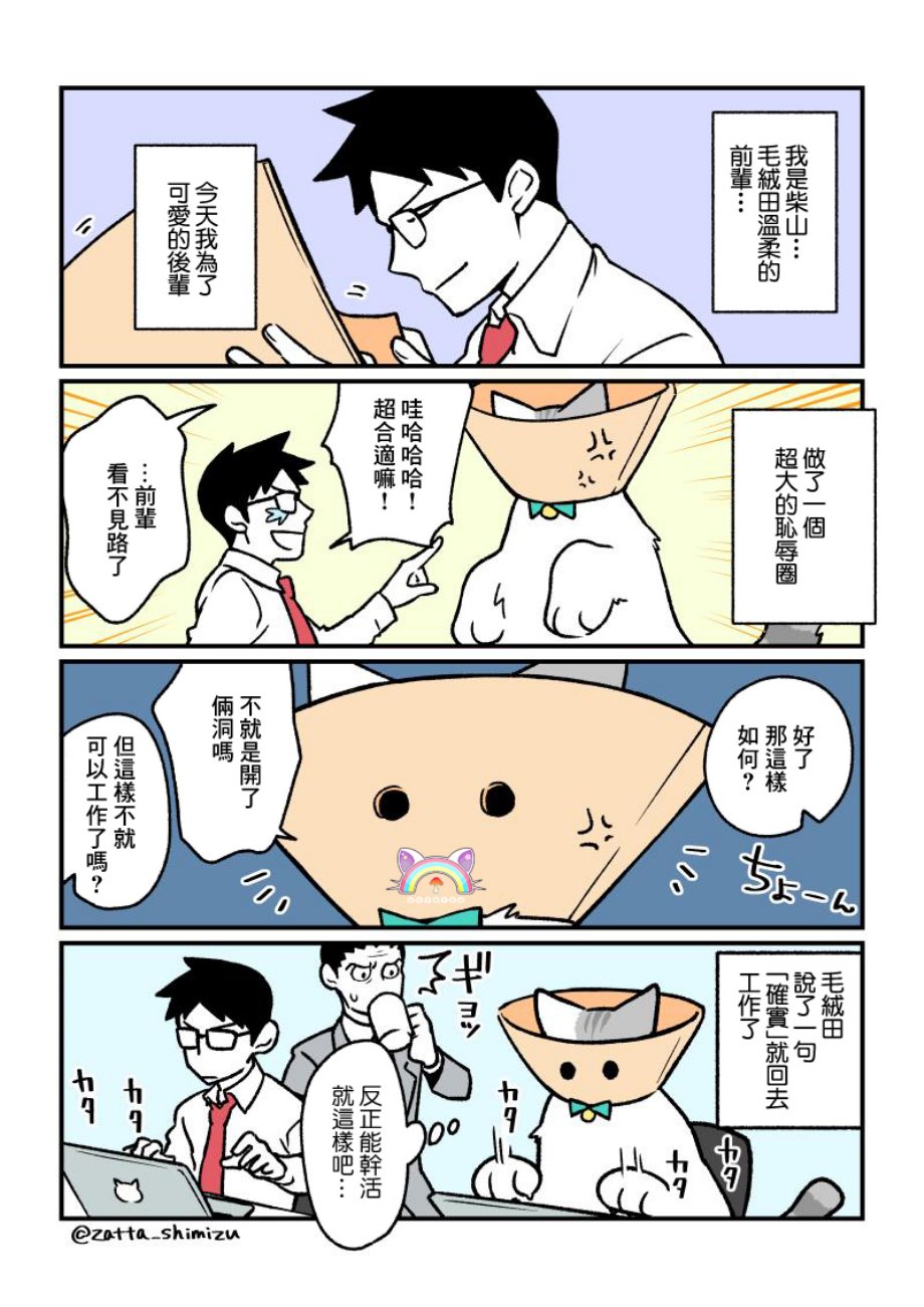 黑心企业的职员变成猫之后人生有了转变的故事韩漫全集-番外15无删减无遮挡章节图片 