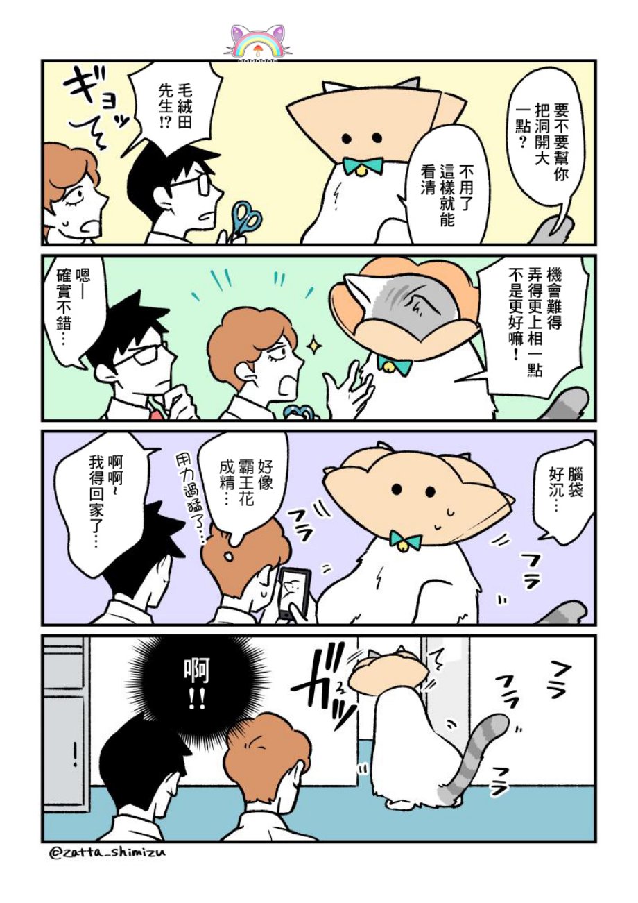 黑心企业的职员变成猫之后人生有了转变的故事韩漫全集-番外15无删减无遮挡章节图片 