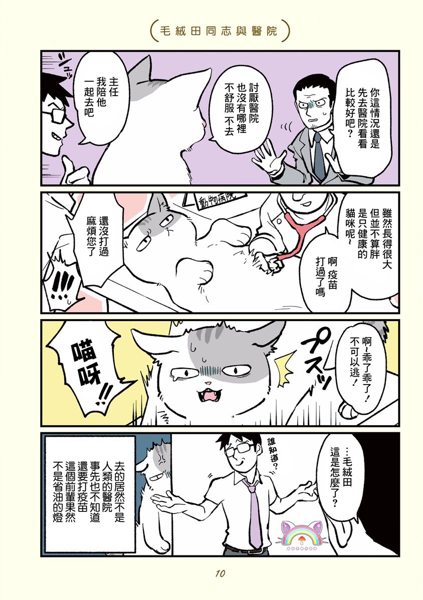 黑心企业的职员变成猫之后人生有了转变的故事韩漫全集-第01话无删减无遮挡章节图片 