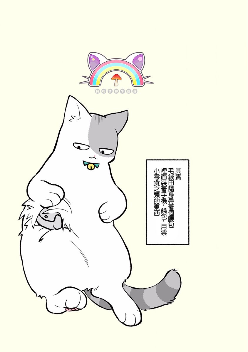 黑心企业的职员变成猫之后人生有了转变的故事韩漫全集-第01话无删减无遮挡章节图片 